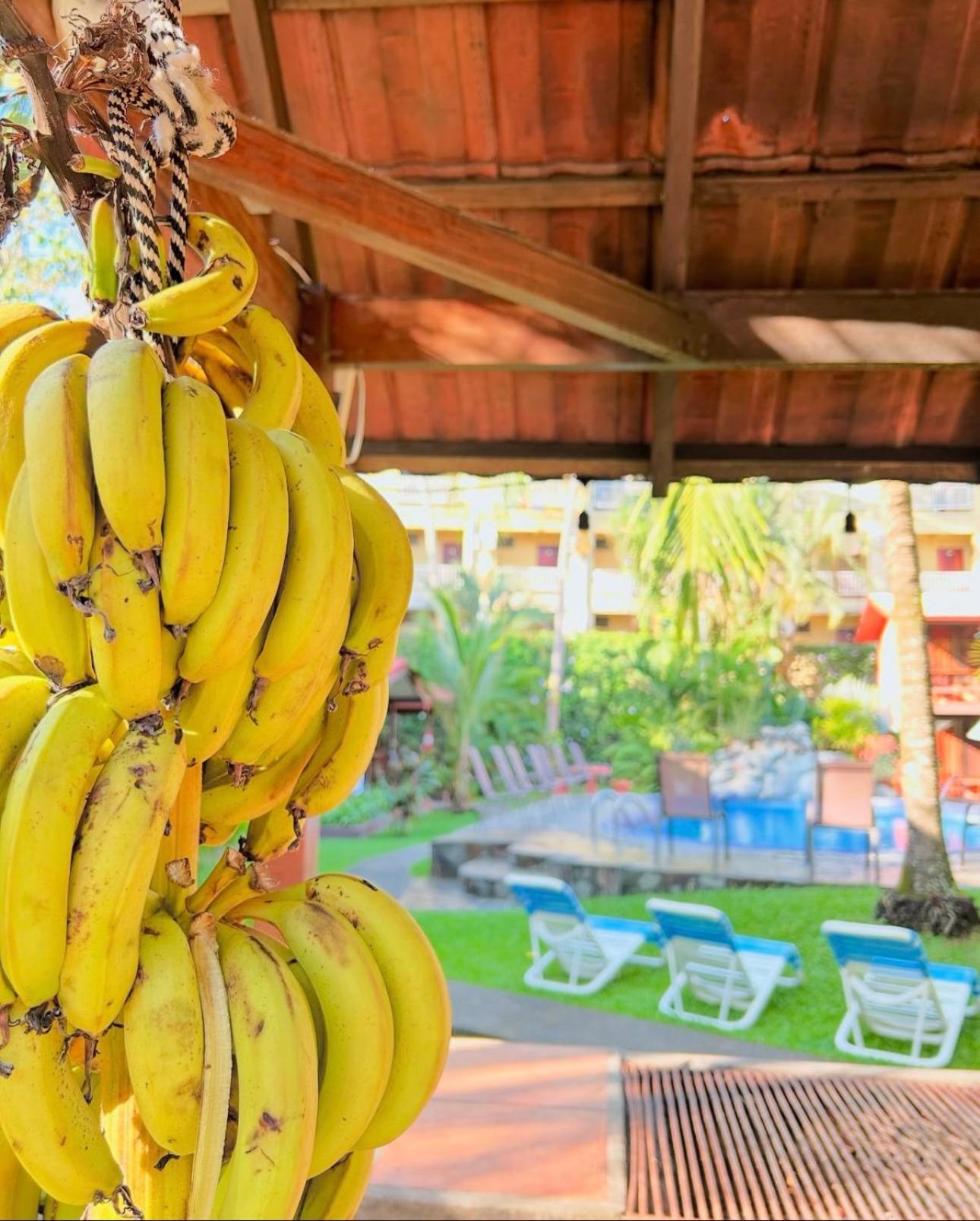 Hotel Los Ranchos Хако Экстерьер фото